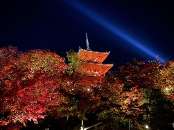 清水寺 夜のライトアップ